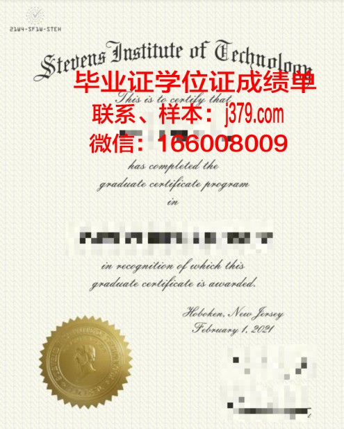 史蒂文斯工程学位证:招生政策与申请流程详解