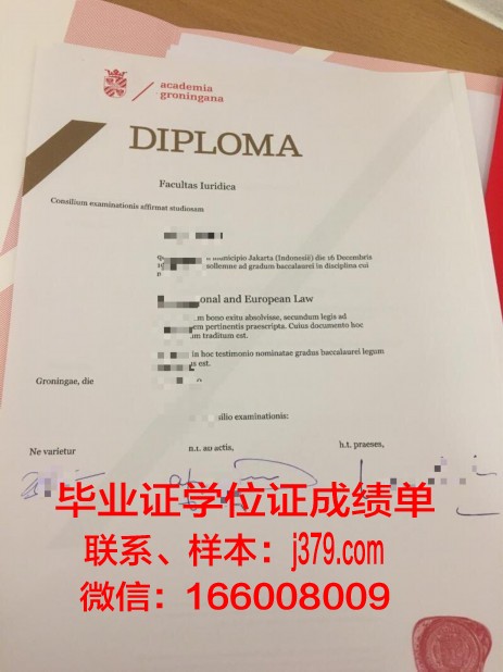 格罗宁根大学学业成果证明与成绩单