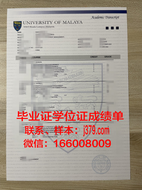 马来西亚技术专业文凭