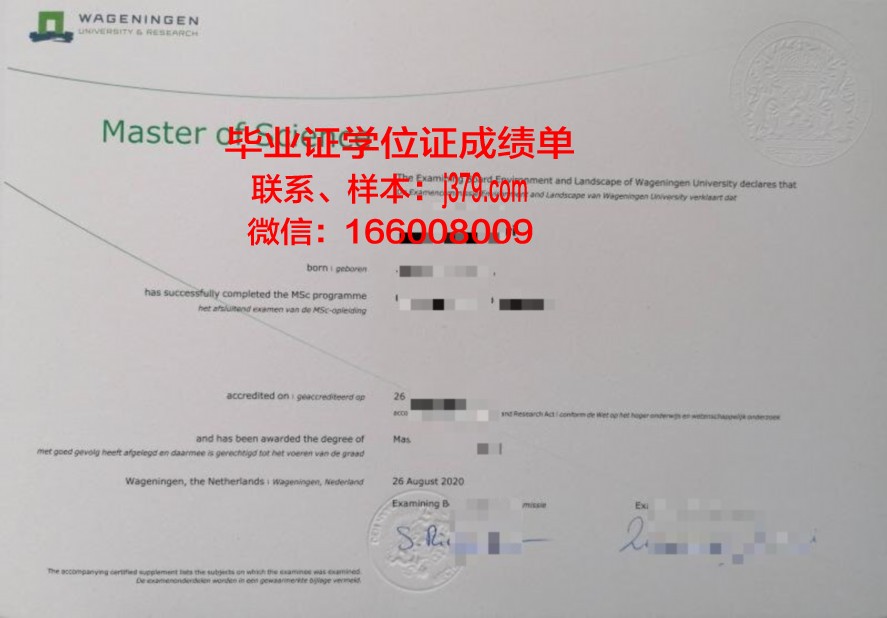 九大本科毕业证:专业选择与未来职业规划