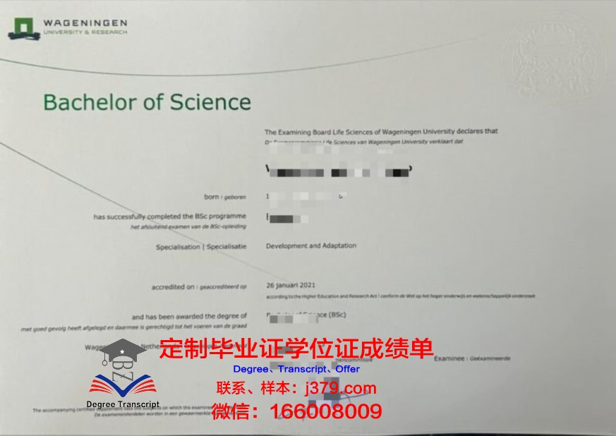 SABM本科阶段毕业证书