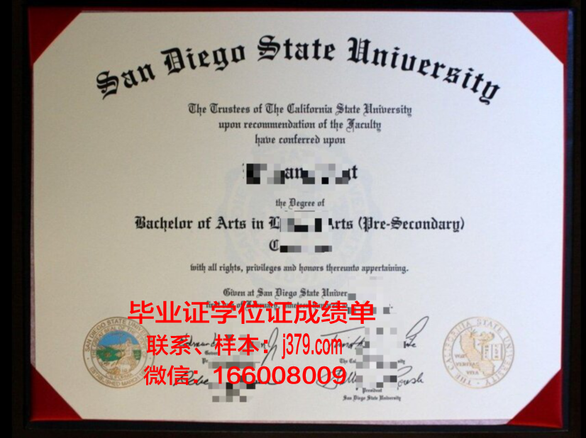 州立大学博士证书的国际认可度分析