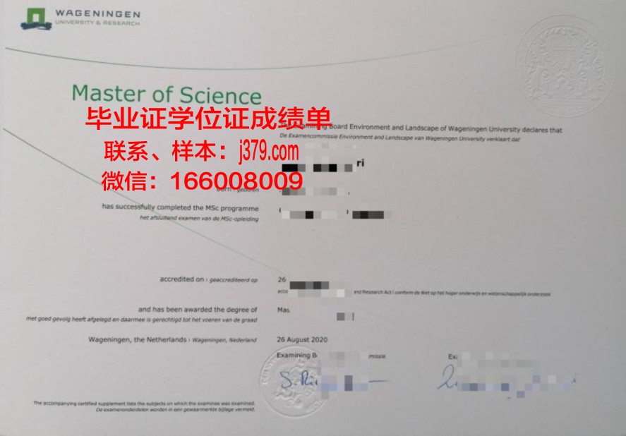 UMFG硕士研究生毕业资格证书