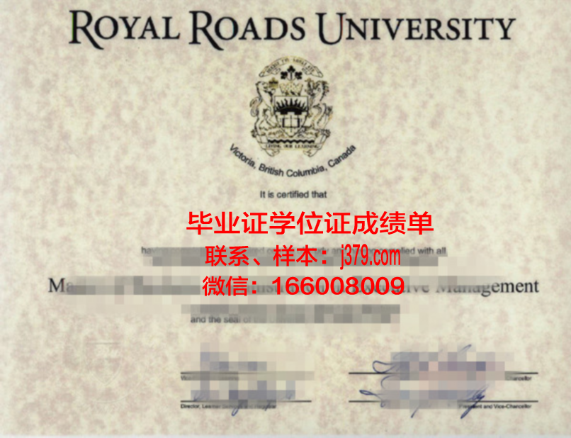P1层次学位证书