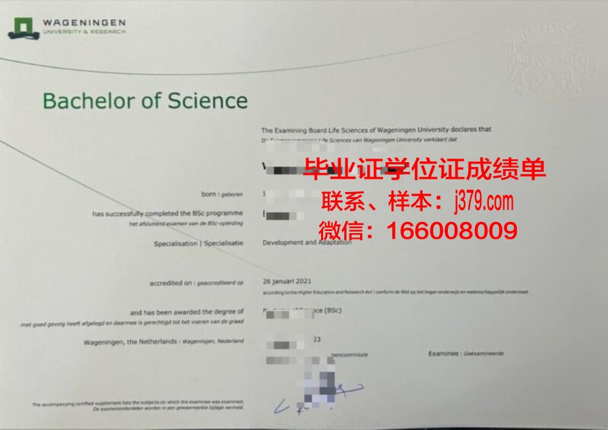 阪市大本科证书含金量分析