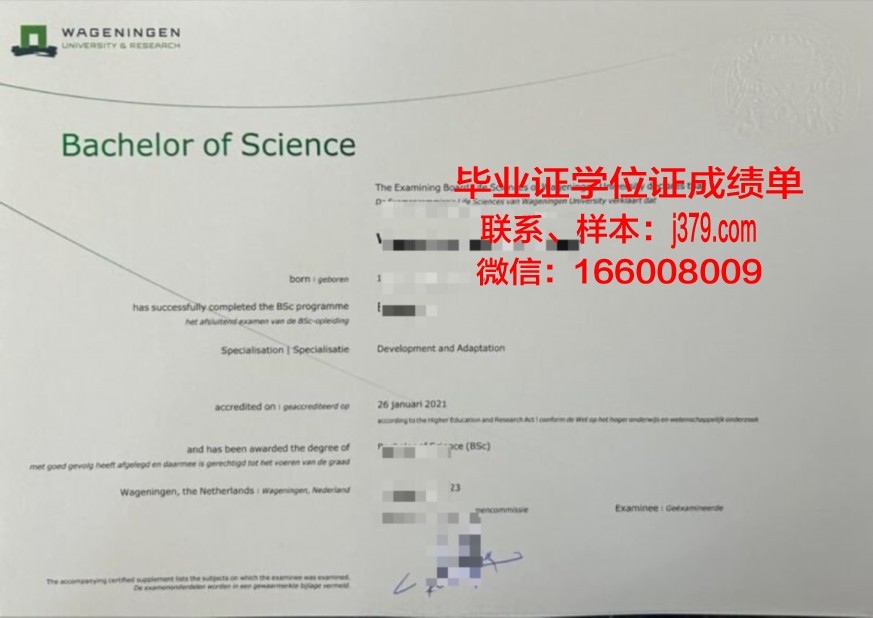 阿帕拉契圣经学院本科证书