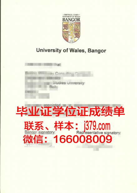 班戈成绩单常见问题解答与案例分析