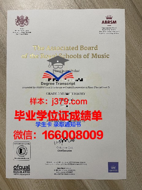 佩贾Diploma证书:在线学习与考试攻略