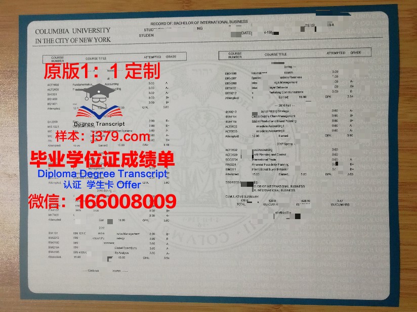 美茵茨大学成绩单(美国大学成绩单)