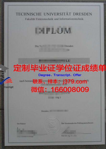 波兹南工业大学毕业学位