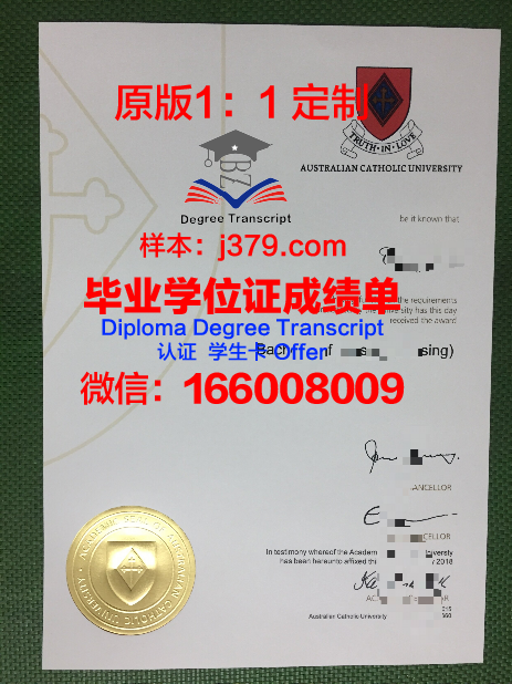 秘鲁天主教大学本科毕业证:一份跨越国界的荣誉