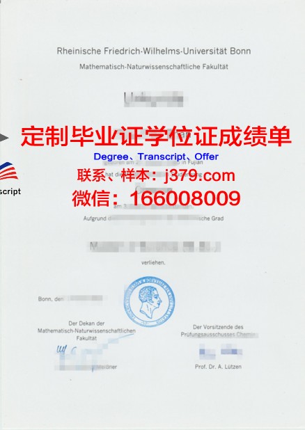 波恩大学毕业证成绩单(波恩大学官网中文)