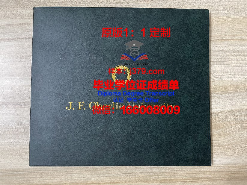波洛茨克国立大学毕业证样本(波罗茨克大学)