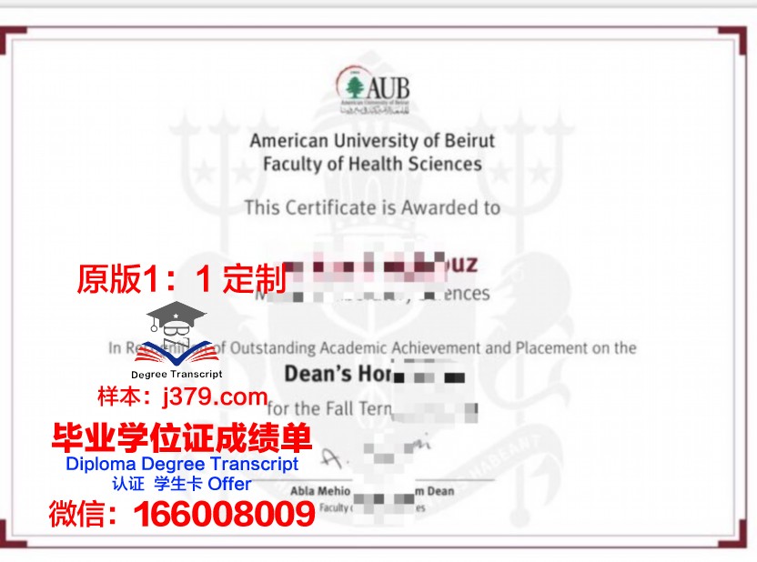美茵茨大学毕业证书原件(美国大学的毕业证丢了怎么办)