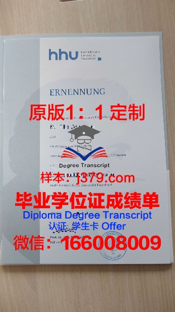 杜塞尔多夫大学博士毕业证书(杜塞尔多夫艺术学院申请)