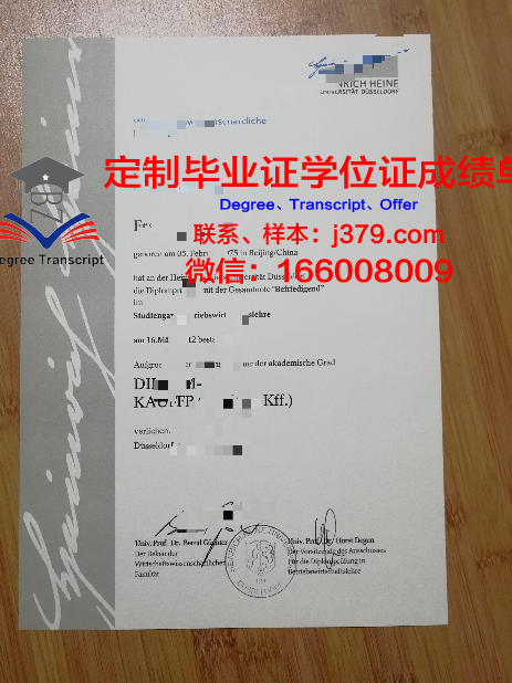 杜塞尔多夫大学博士毕业证书(杜塞尔多夫艺术学院申请)